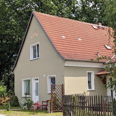 Helenes Ferienwohnung Auf Dem Bauernhof - Lausitzer Seenland Lauta Экстерьер фото