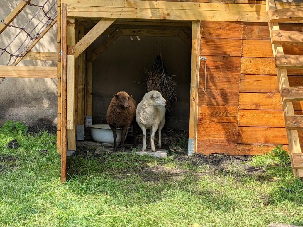 Helenes Ferienwohnung Auf Dem Bauernhof - Lausitzer Seenland Lauta Экстерьер фото
