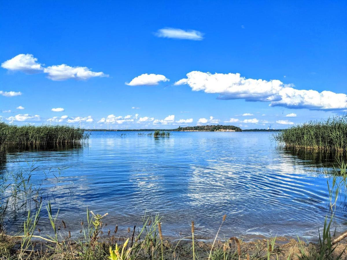 Helenes Ferienwohnung Auf Dem Bauernhof - Lausitzer Seenland Lauta Экстерьер фото