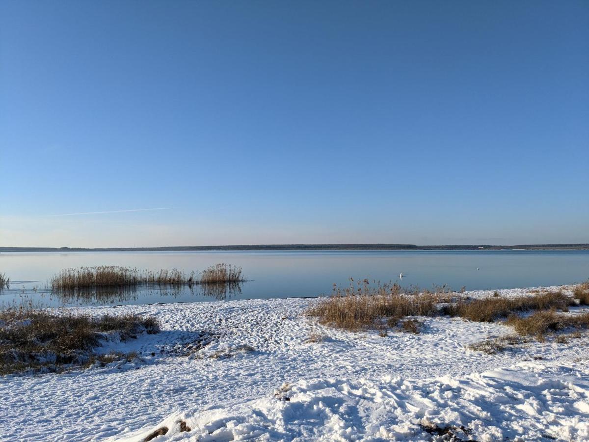 Helenes Ferienwohnung Auf Dem Bauernhof - Lausitzer Seenland Lauta Экстерьер фото