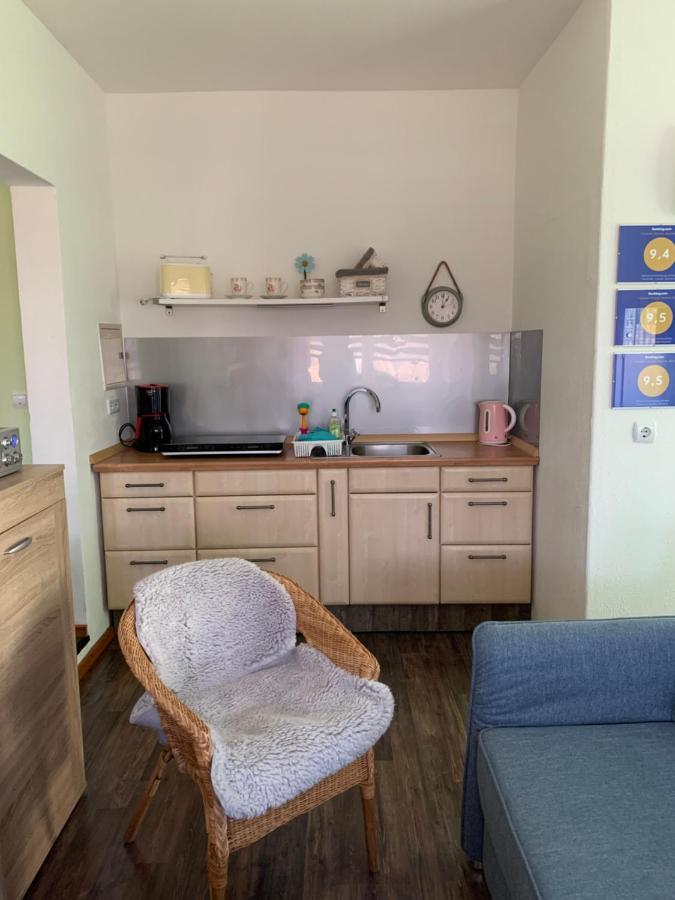 Helenes Ferienwohnung Auf Dem Bauernhof - Lausitzer Seenland Lauta Экстерьер фото