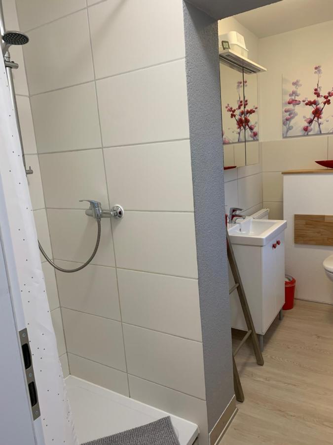 Helenes Ferienwohnung Auf Dem Bauernhof - Lausitzer Seenland Lauta Экстерьер фото